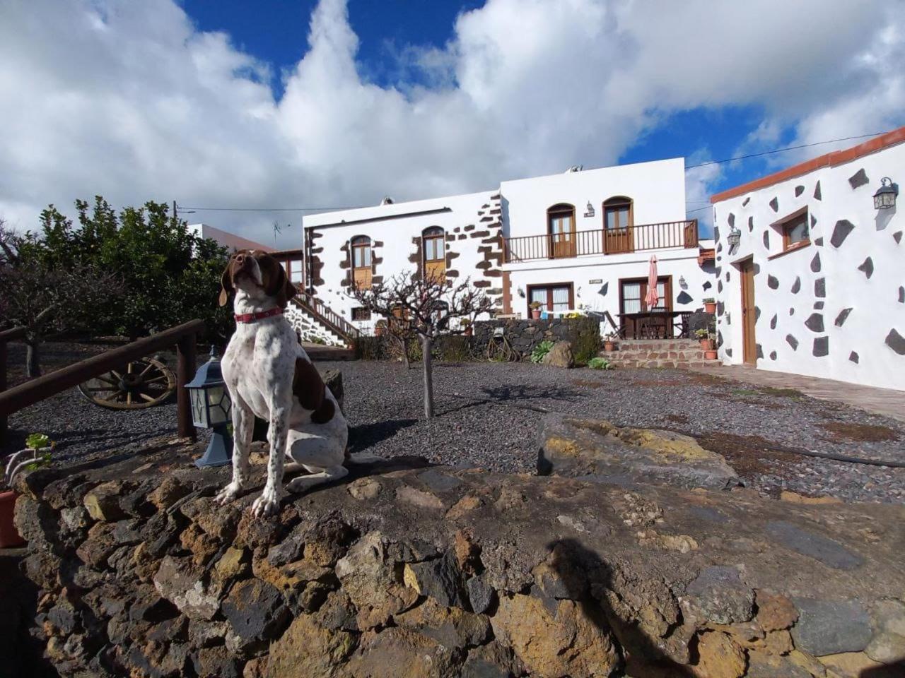 Las Casas Del Abuelito Julian & La Abuela Leonor Isora Екстер'єр фото